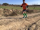 Caminos de la Segarra.
