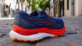 ASICS Gel Kayano 29