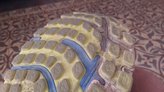 Durabilidad de la suela de estas Brooks Adrenaline GTS 17