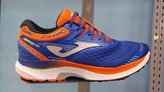 Joma Hispalis XXI