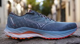 Mizuno Wave Inspire 19