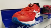 Mizuno Wave Rider 22