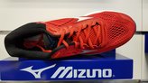 Mizuno Wave Rider 22