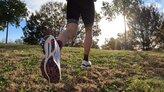 Mizuno Wave Rider 26