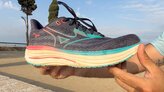Mizuno Wave rider 29
