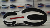 Mizuno Wave Rider 30