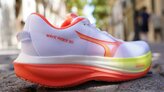 Mizuno Wave Rider 30