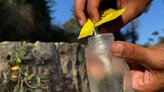 Indispensable uso de Soft Flask