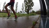Newton Distance V buen agarre sobre mojado
