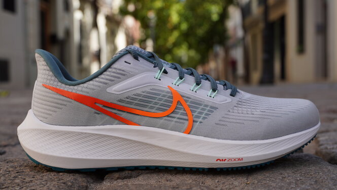 Ir a caminar templar Celo Nike Air Zoom Pegasus 39, análisis: review, recomendación, precio y  especificaciones