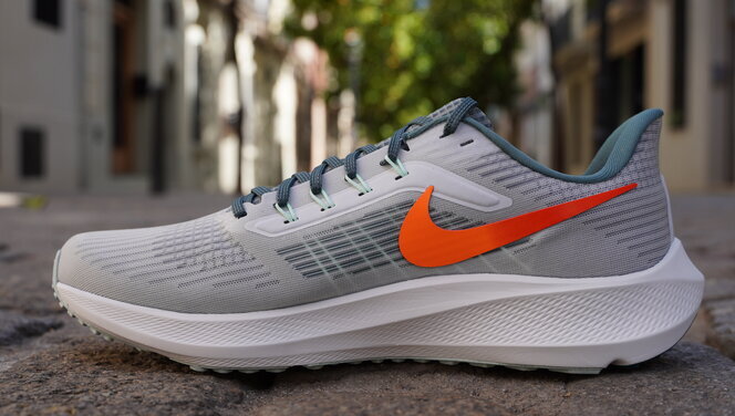 Ir a caminar templar Celo Nike Air Zoom Pegasus 39, análisis: review, recomendación, precio y  especificaciones