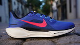 Nike Pegasus 41
