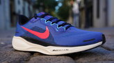 Nike Pegasus 41