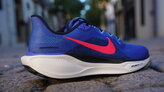 Nike Pegasus 41