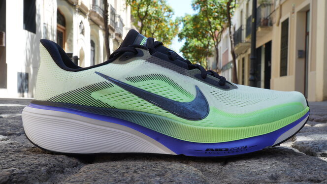 Nike Pegasus 42