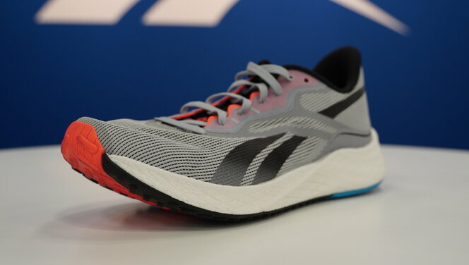 Reebok Floatride Energy 3 Adventure Running Shoes - gable grey/midnight  pine/neon cherry