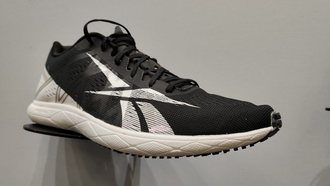 Reebok Forever Run Fast Pro, análisis: recomendación, y especificaciones