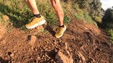 Terrenos menos compactos