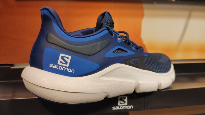 Salomon predict on sale