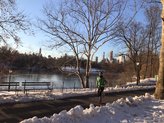 Salomon Sonic en la meca del running, Central Park