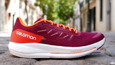 Salomon Spectur