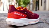 Salomon Spectur