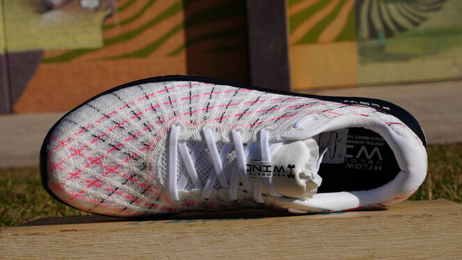 Under Armour Flow Velociti Wind, análisis: review, recomendación, precio y  especificaciones