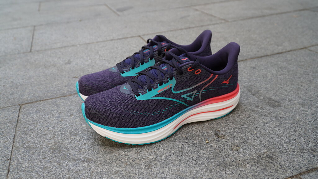Mizuno Wave Rider 29