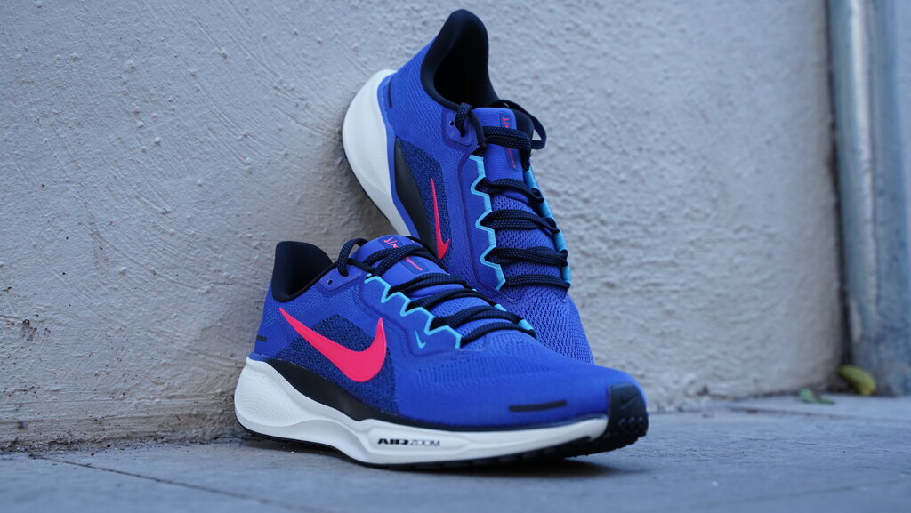 Nike Pegasus 41