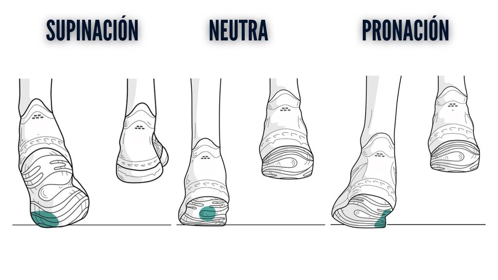 Tipos de pisada