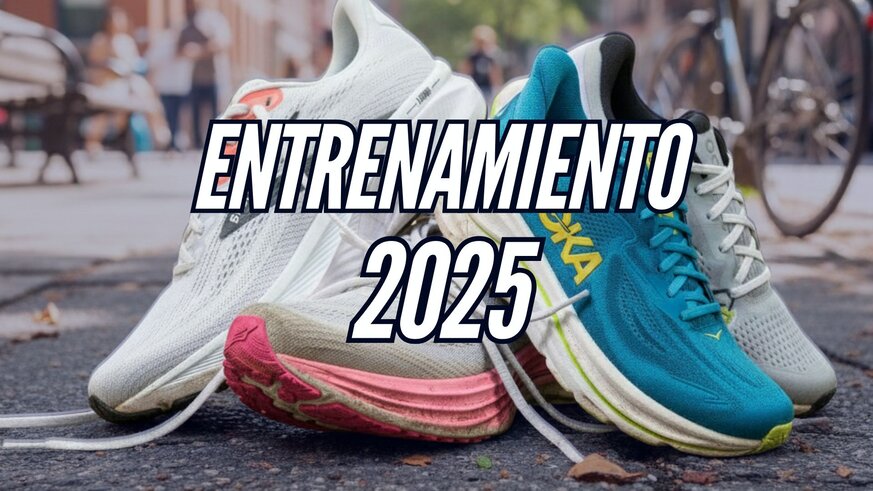 Tus mejores compa�eras