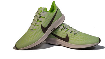 nike pegasus antiguas